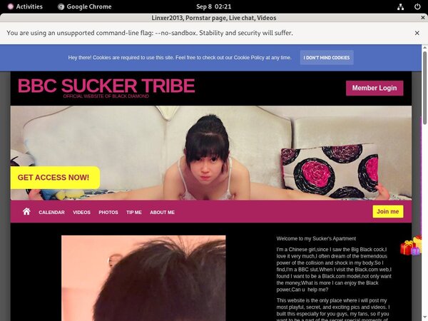 Accounts For Linxer2013