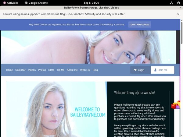 BaileyRayne Discount Checkout