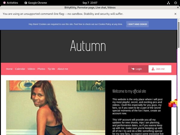 BittyKitty Free Passwords