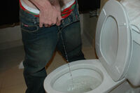 Boys-pissing.com Become A Member s0