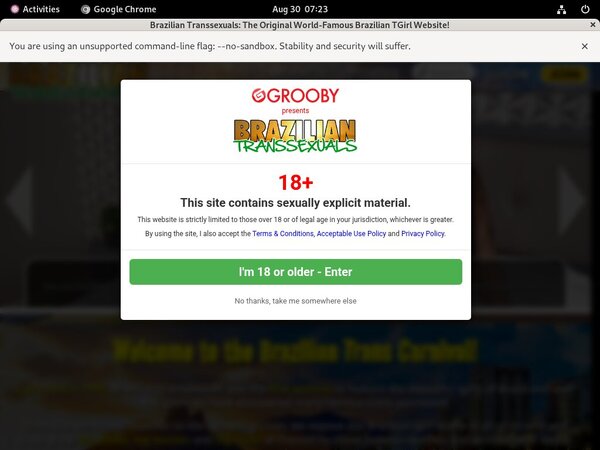 Brazilian-transsexuals.com 