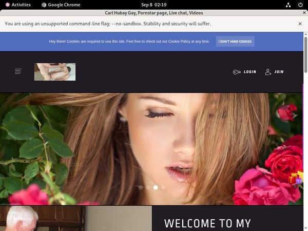 CarlHubayGay Website