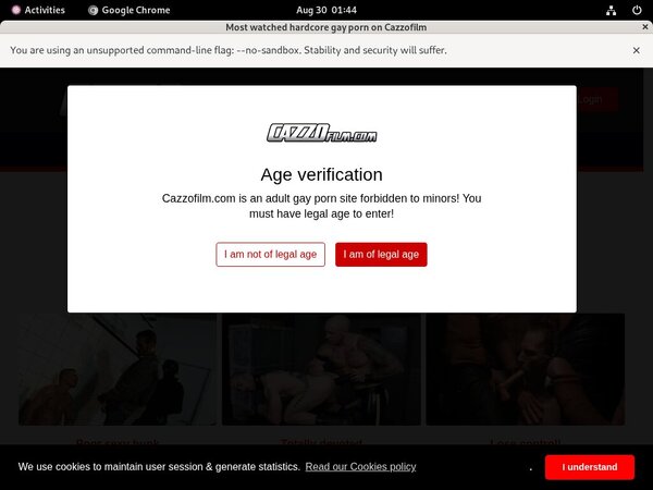 Cazzo Porn Passwords Cazzo Porn Passwords