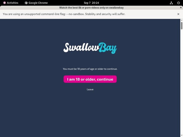 Daily Swallowbay Accounts