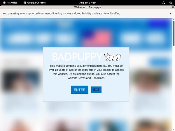 Discount Badpuppy.com Trial Link