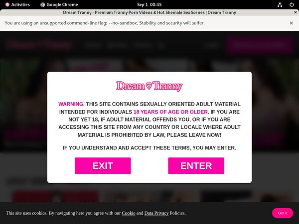 Dreamtranny.com Cheap Discount