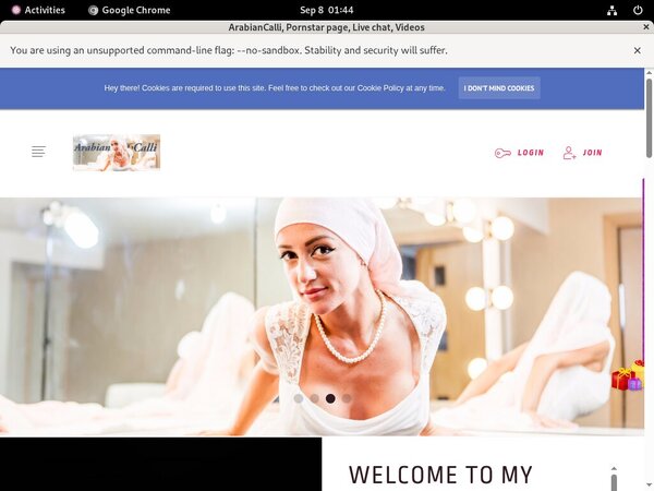 Free ArabianCalli Full