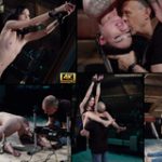 Free New Subspaceland