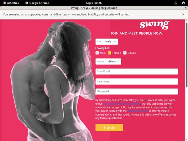 Free Swing.net Scenes