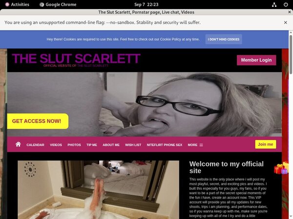 Free The Slut Scarlett Hacked Login