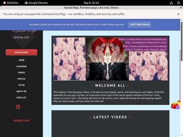 Free Users For Kawaiiskye.modelcentro.com