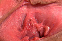 Gape My Pussy Sex Porn s2