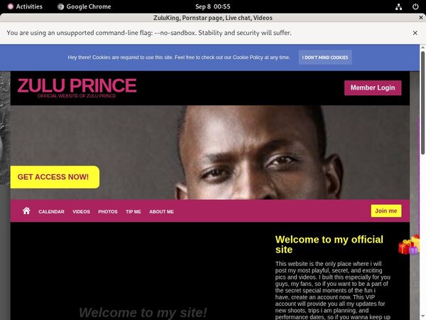Get Zuluking.modelcentro.com For Free