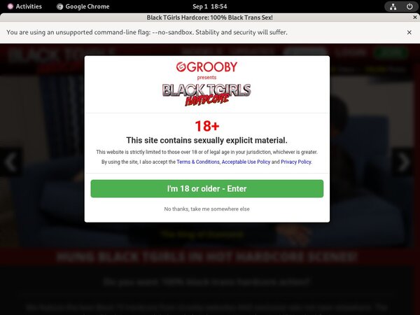 How To Get A Free Black TGirls Hardcore Account