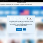 How To Get Free Bad Puppy Accounts