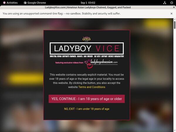 Ladyboyvice Limited Offer Ladyboyvice Limited Offer