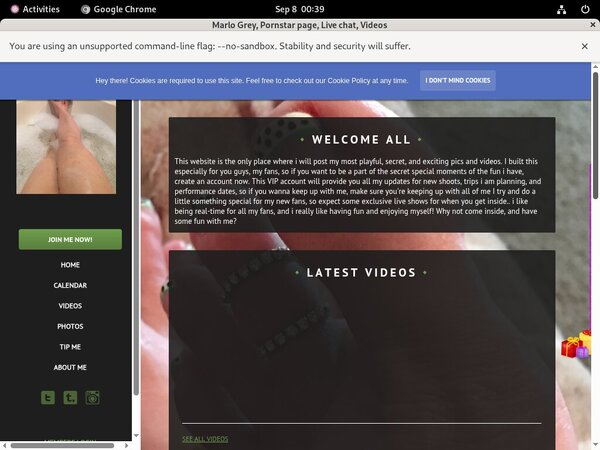 Marlogrey.modelcentro.com ??