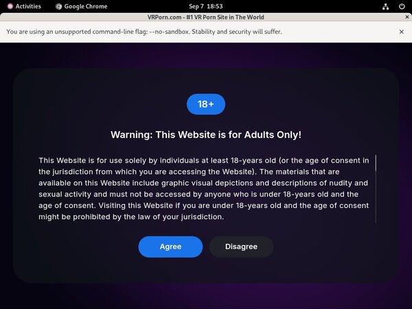 Mobile VR Porn Account