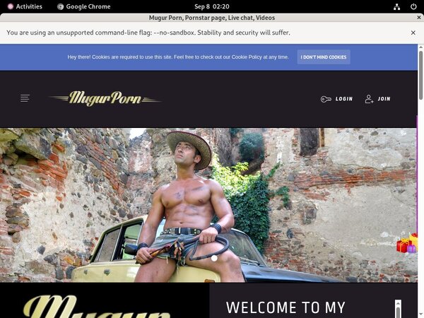 Mugur Porn Account Logins