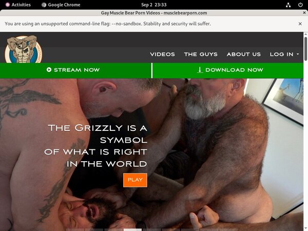 Muscle Bear Porn Review Muscle Bear Porn Review