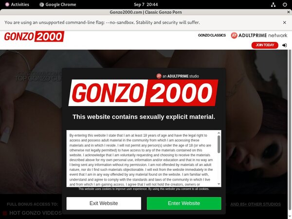 New Gonzo2000.com Promo Code