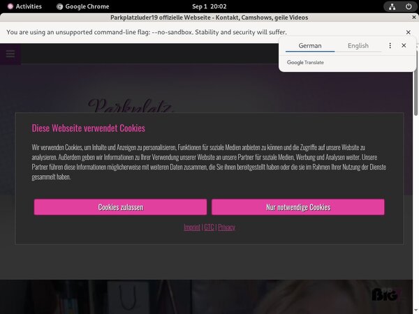 Parkplatzluder19.com Galleries