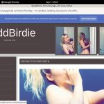 Password BaddBirdie Free