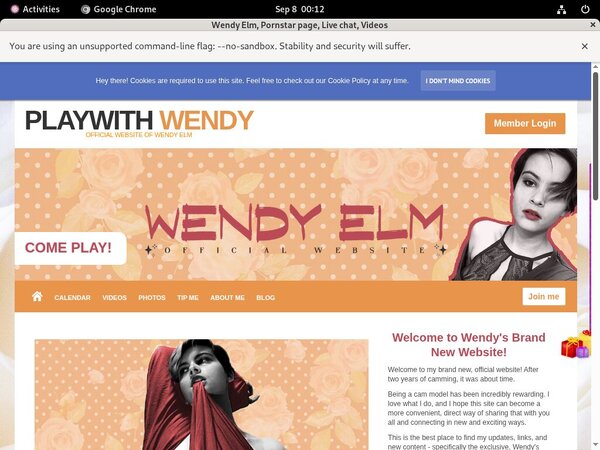 Playwithwendy Check Out