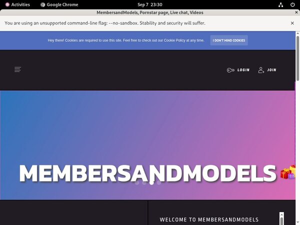 Porn MembersandModels