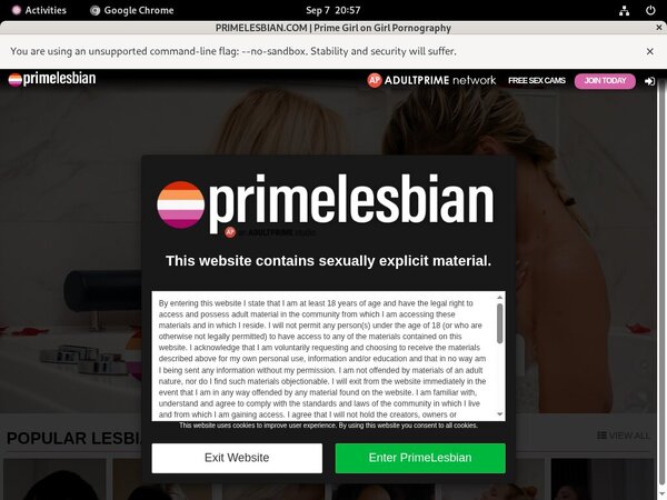 Primelesbian.com Stories