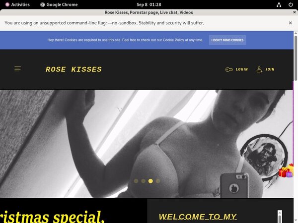 Rosekissesx.modelcentro.com Hack