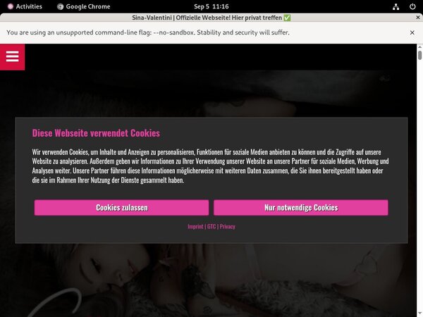 SinaValentini Download