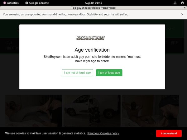 Sketboy.com Renew Membership