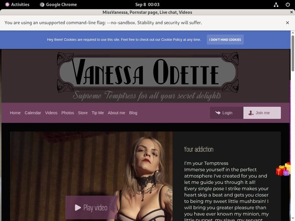 Try Missvanessa.modelcentro.com Free