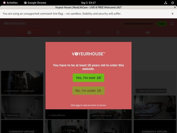 Voyeurhouse.com Discount Codes