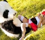 Wtfpass.com Account 2014 Wtfpass.com Account 2014