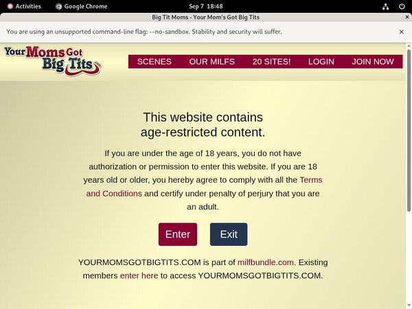 Yourmomsgotbigtits.com Wiki