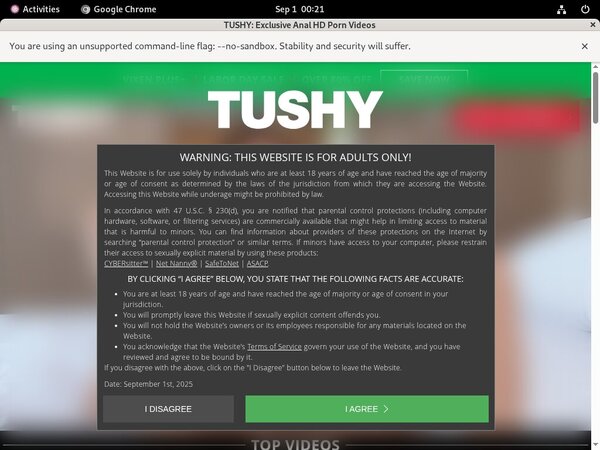 Login To Tushy Free
