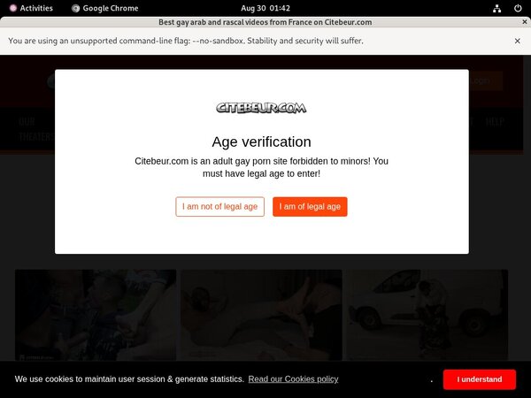 Citebeur.com Daily Passwords