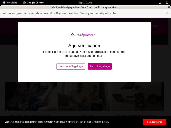 Frenchporn Hd Free