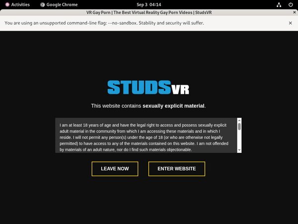 Is Studsvr Real