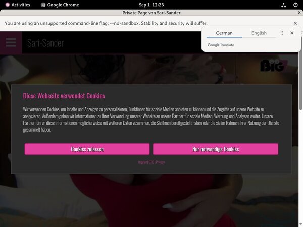 Sari Sander Full Sari Sander Full
